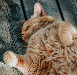 4_ways_to_get_a_better_nights_sleep.png