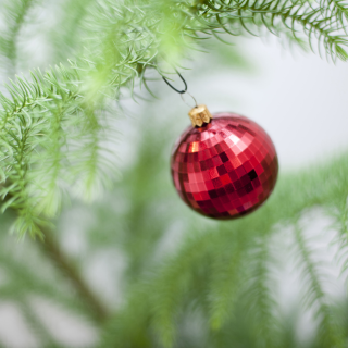 Santas_helpers_have_been_busy_at_Audiology_South_.png