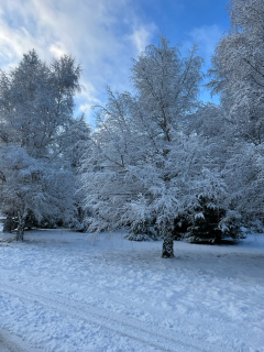 Welcome_to_our_winter_newsletter.png