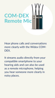 COM DEX Remote Mic website
